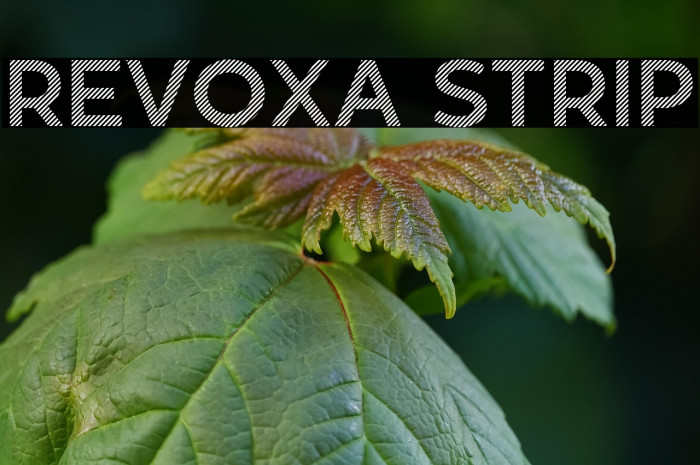 Revoxa Strip Example 2