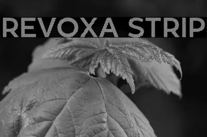 Revoxa Strip Font examples