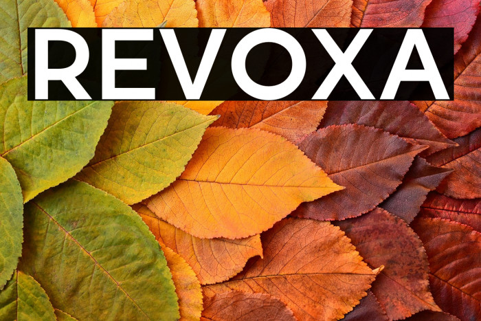 Revoxa Example 3