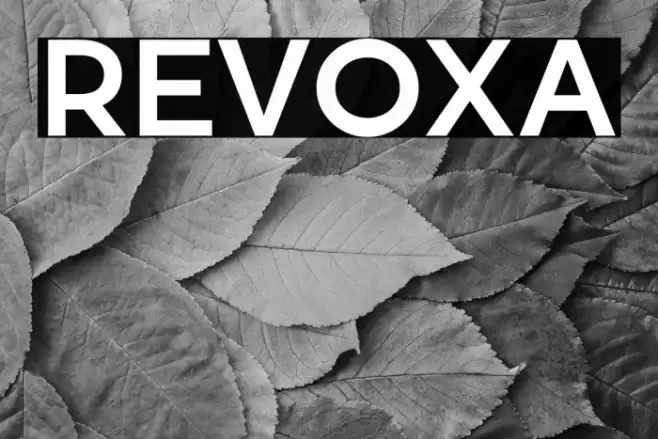 Revoxa Font examples