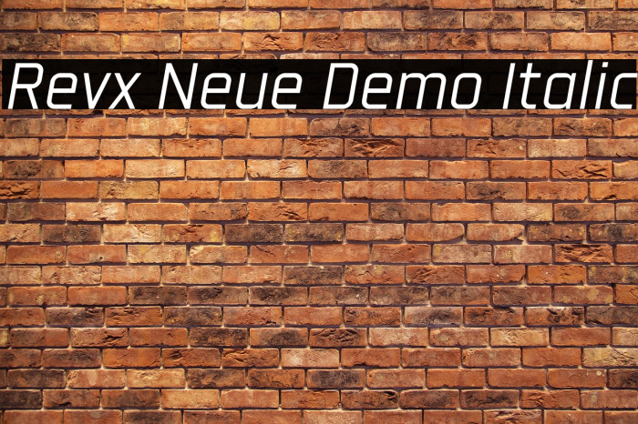 Revx Neue Demo Italic Example 1