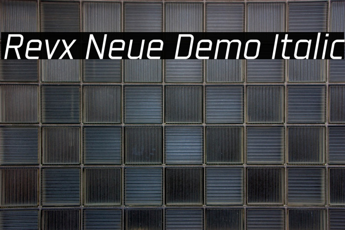 Revx Neue Demo Italic Example 3