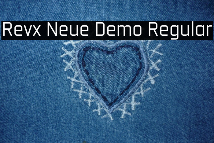 Revx Neue Demo Regular Example 2