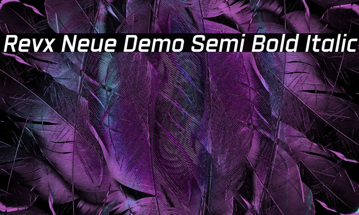 Revx Neue Demo Semi Bold Italic Example 3