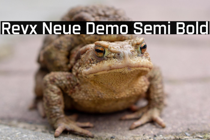 Revx Neue Demo Semi Bold Example 1