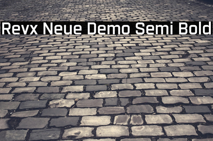 Revx Neue Demo Semi Bold Example 3