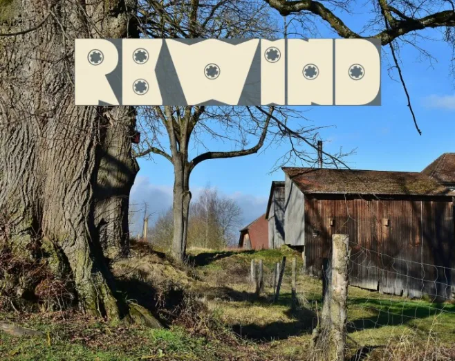 Rewind Example 1