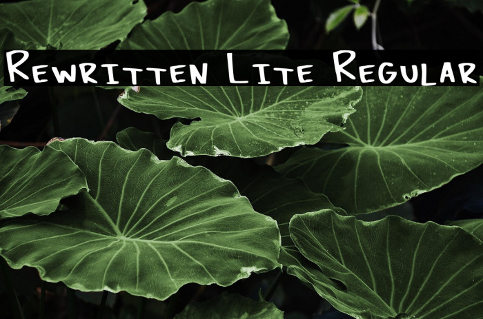 Rewritten Lite Regular Example 2