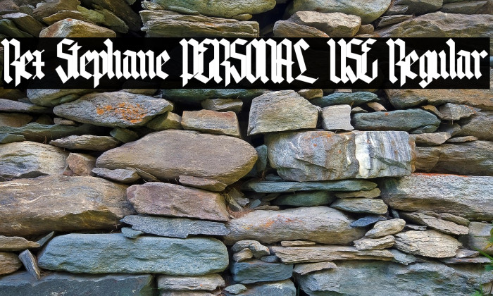 Rex Stephane PERSONAL USE Regular Example 1