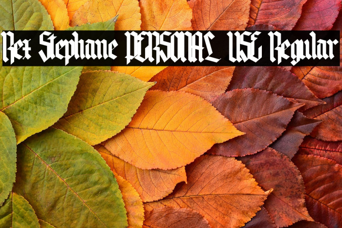 Rex Stephane PERSONAL USE Regular Example 3