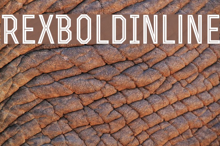 RexBoldInline Font examples