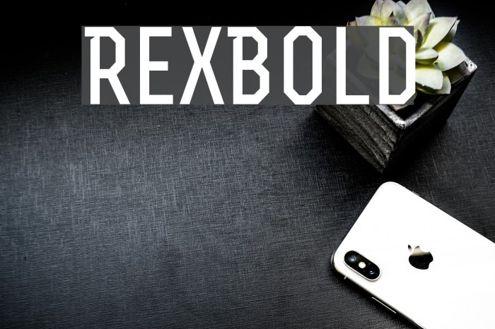 RexBold Example 2