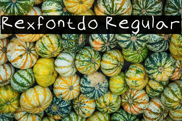 Rexfontdo Regular Example 1