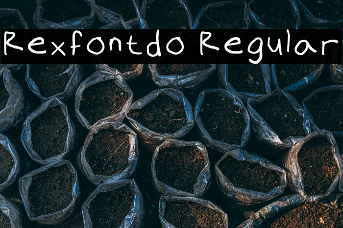Rexfontdo Regular Example 2