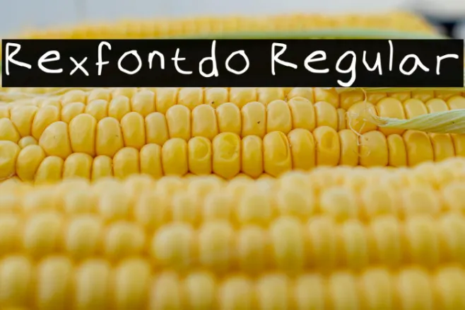 Rexfontdo Regular Example 3