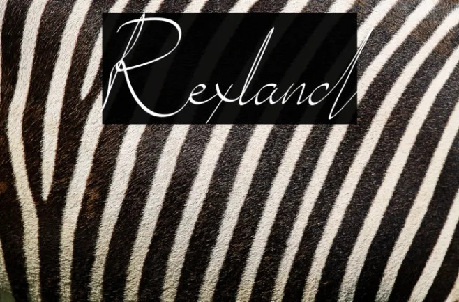 Rexland Example 3