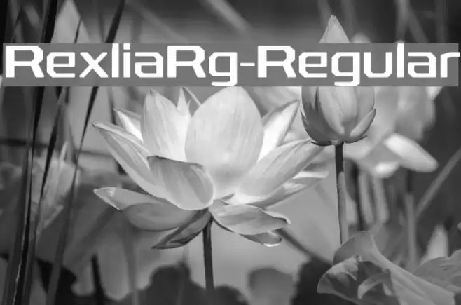 RexliaRg-Regular Font examples
