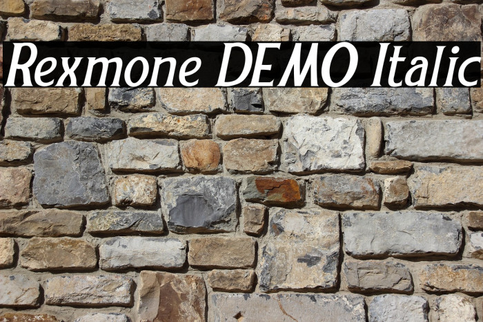 Rexmone DEMO Italic Example 1