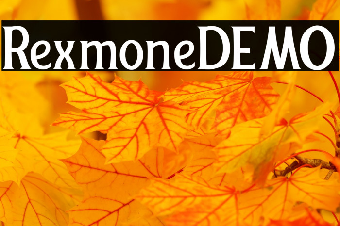 RexmoneDEMO Example 1