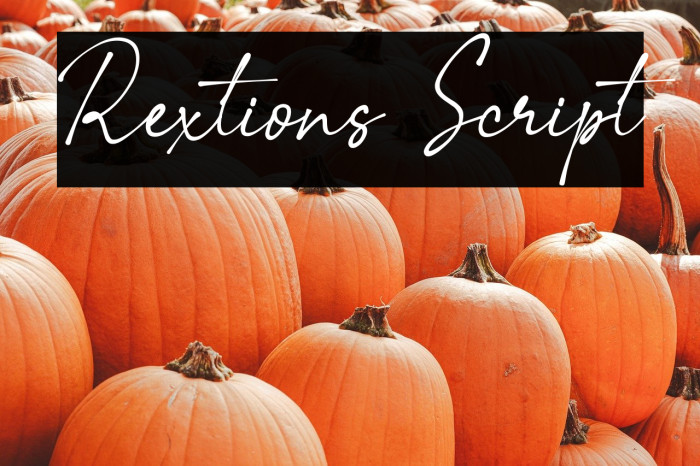 Rextions Script Example 1