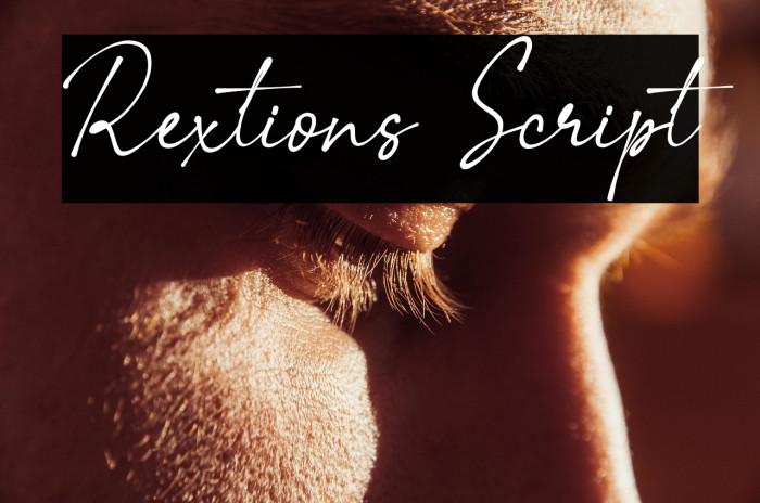 Rextions Script Example 3