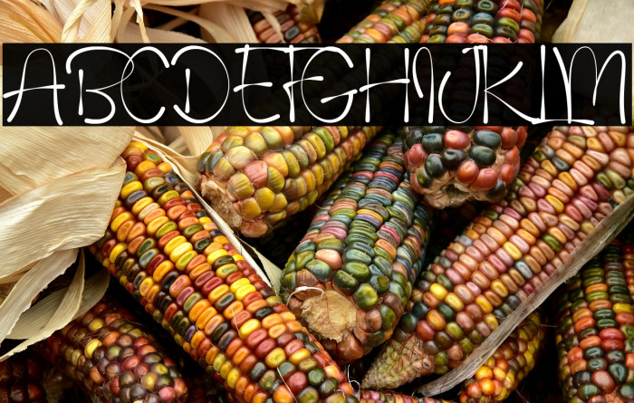 Rey Simpson Example 1