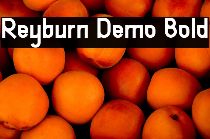Reyburn Demo Bold Example 1
