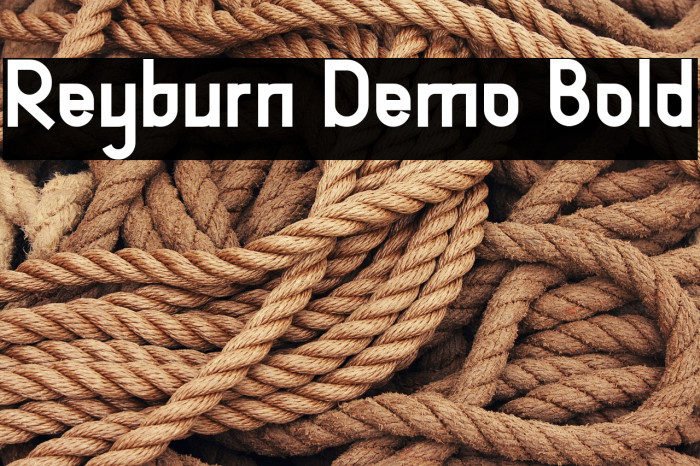 Reyburn Demo Bold Example 2