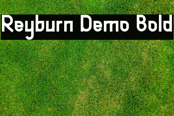Reyburn Demo Bold Example 3