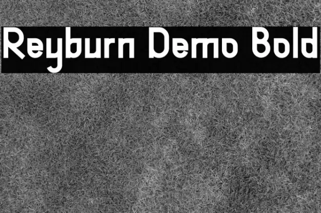 Reyburn Demo Bold Font examples