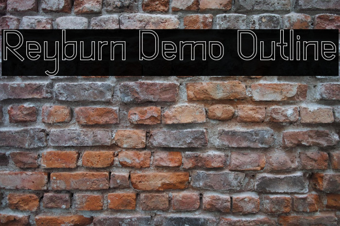 Reyburn Demo Outline Example 2