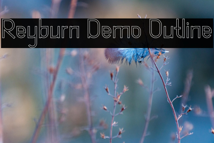 Reyburn Demo Outline Example 3