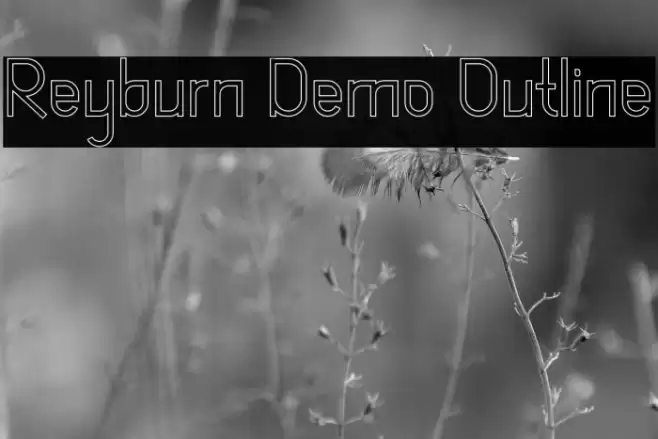 Reyburn Demo Outline Font examples