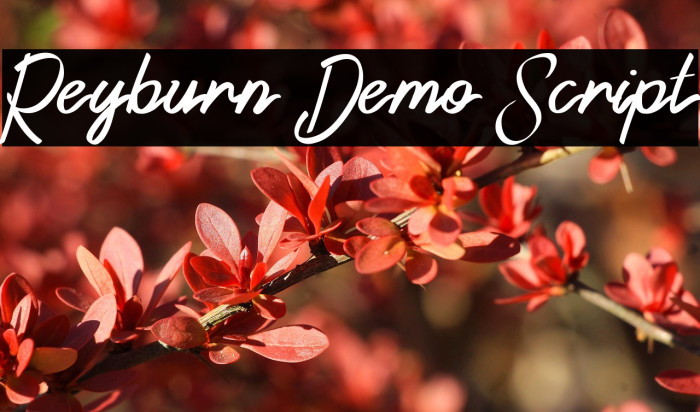 Reyburn Demo Script Example 1