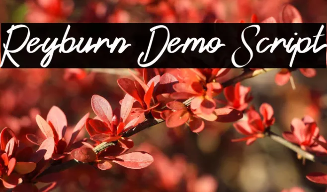 Reyburn Demo Script Example 1