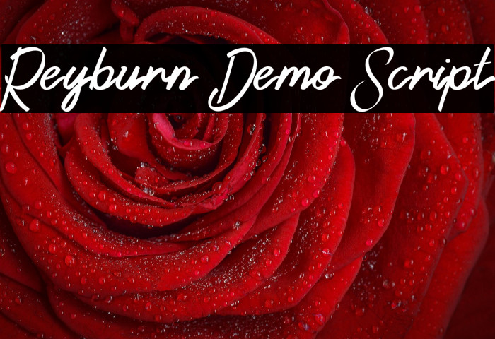 Reyburn Demo Script Example 2