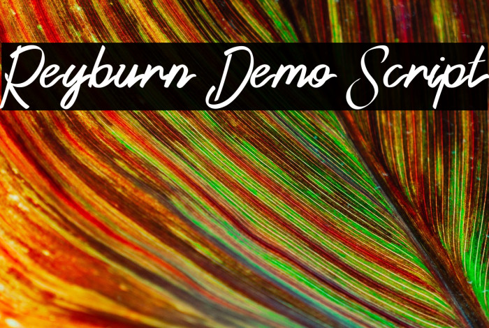 Reyburn Demo Script Example 3