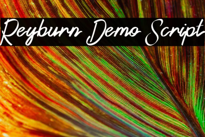 Reyburn Demo Script Example 3