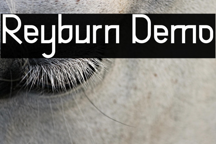 Reyburn Demo Example 3