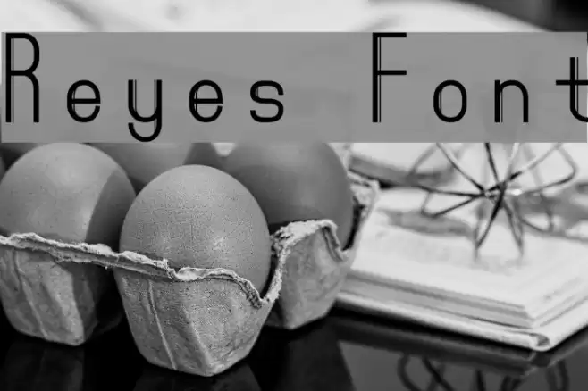 Reyes Font examples
