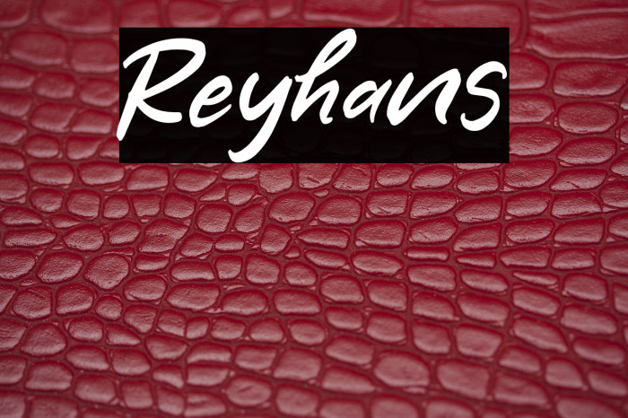 Reyhans Example 1