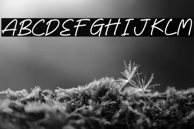 Reyhart Sejenack Font examples