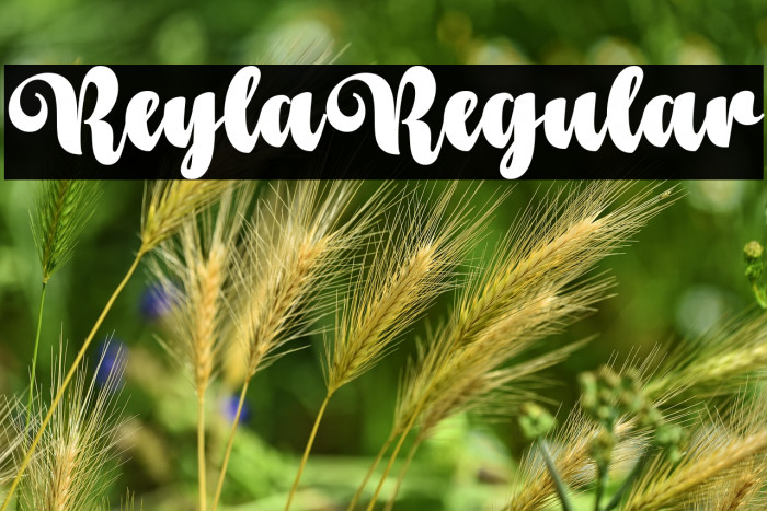 Reyla Regular Example 2