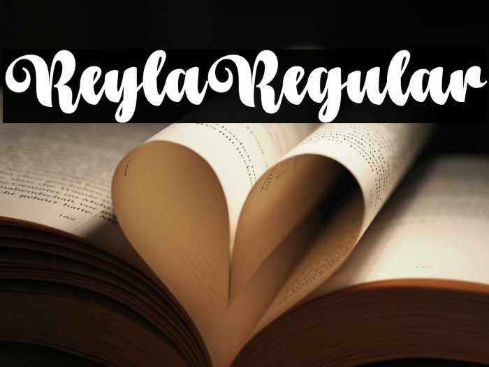 Reyla Regular Example 3