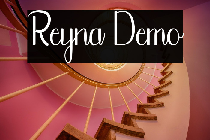 Reyna Demo Example 1