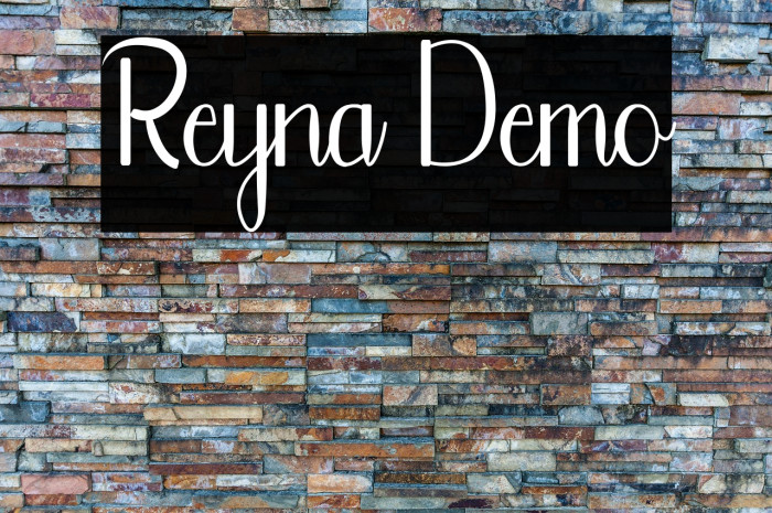 Reyna Demo Example 2