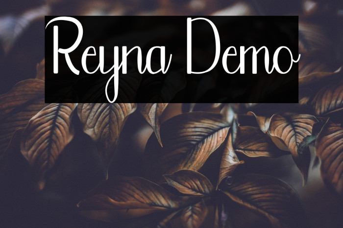 Reyna Demo Example 3