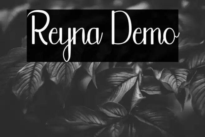 Reyna Demo Font examples