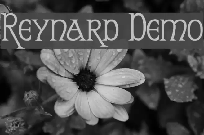 Reynard Demo Fonte examples