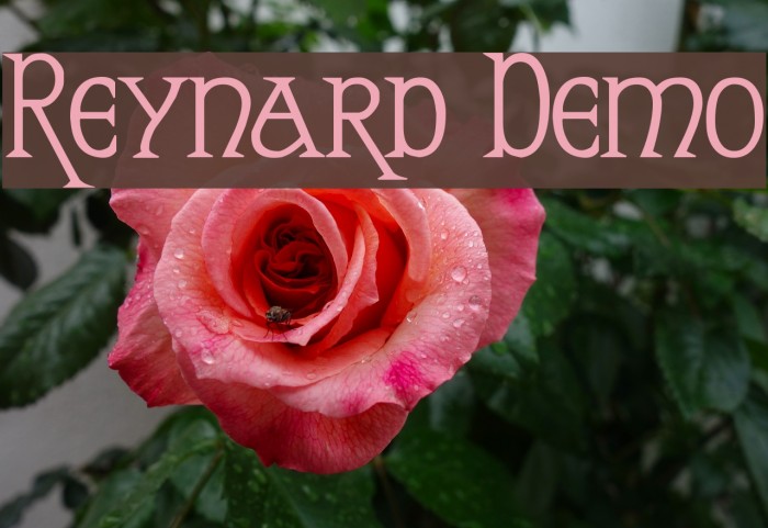 Reynard Demo Fonte examples